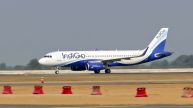 Noida International Airport Update: Second Deadline Postponed To... - What’s Causing The Delay?