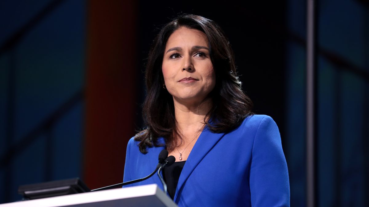Tulsi Gabbard Spotlights US-India Direct Dialogue on Tariffs, Says THIS About Trump-Modi Friendship