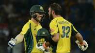 Travis Head Vs Glenn Maxwell: Who'll Be The Game Changer For Australia In Champions Trophy Semi-Final?