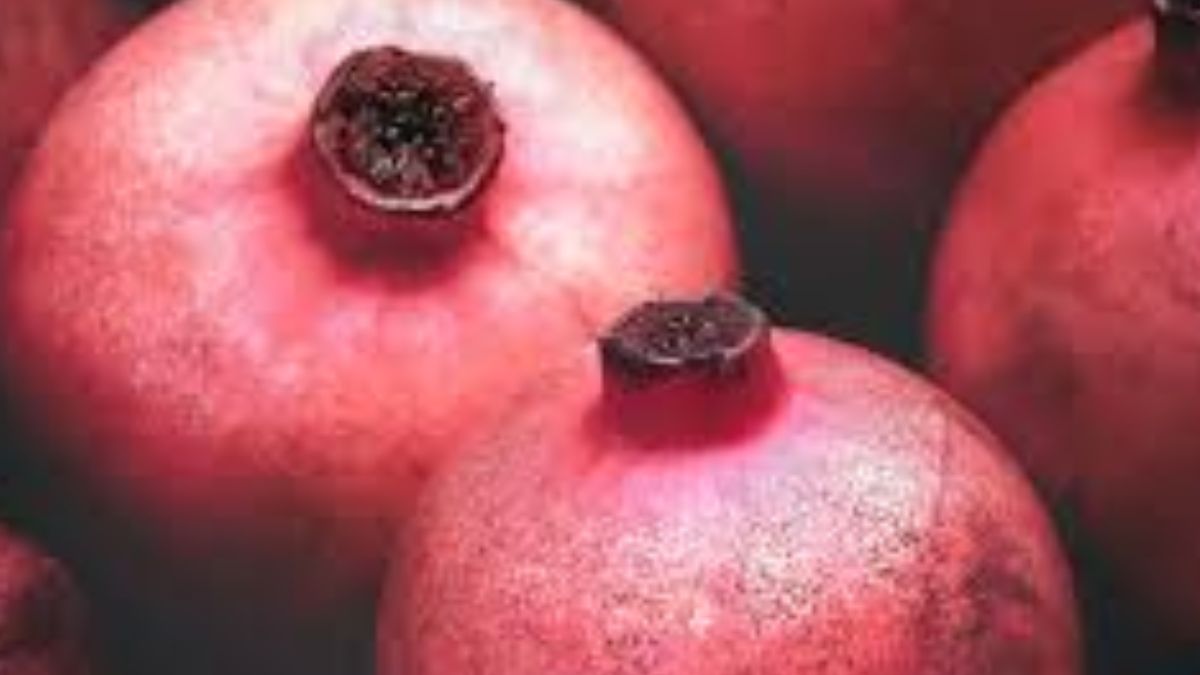 Pomegranate Pomegranate