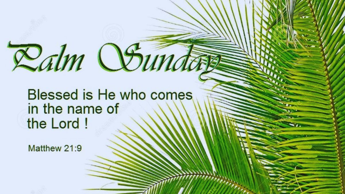 Palm Sunday 2025: Spread Love And Light! Top Greetings, Wishes And Images To Share With Your Loved Ones Palm Sunday 2025: Spread Love And Light! Top Greetings, Wishes And Images To Share With Your Loved Ones
