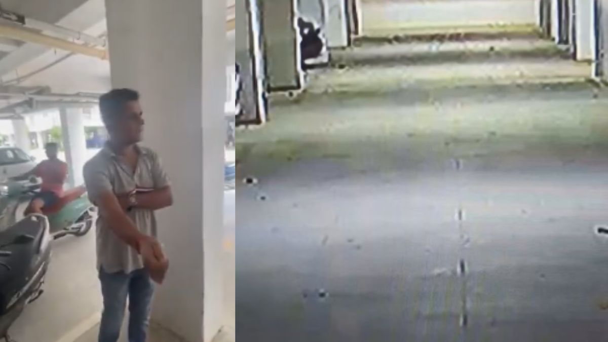 Hyderabad: Man Crushes And Smashes 5 Newborn Puppies To Death, Sparks Fury On Social Media