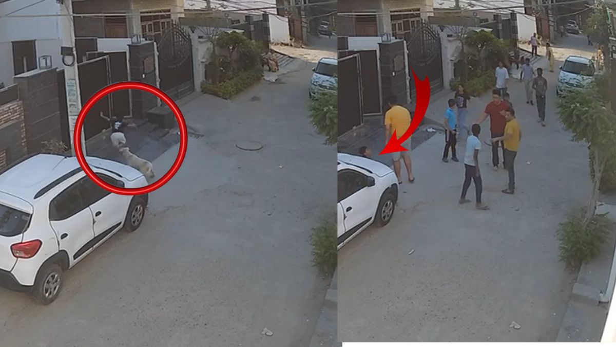Caught On Camera: 6-Year-Old Severely Injured After Brutal Stray Dog Attack In Punjab's Jalandhar