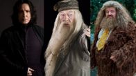 Harry Potter Casting