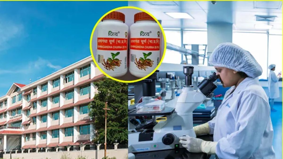 Divya Ashwagandha Churna: No More Uric Acid Trouble! Try This Patanjali Medicine With Milk