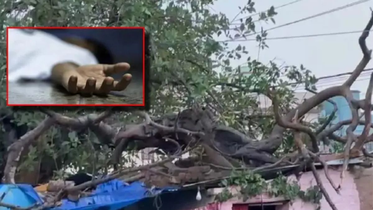 Delhi Rains: Tree Crushes Tubewell Room In Dwarka, Mother And Three Children Killed