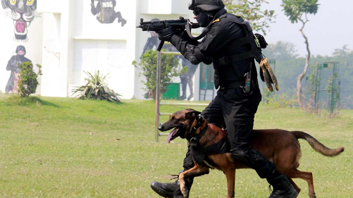 Representative Image Representative Image