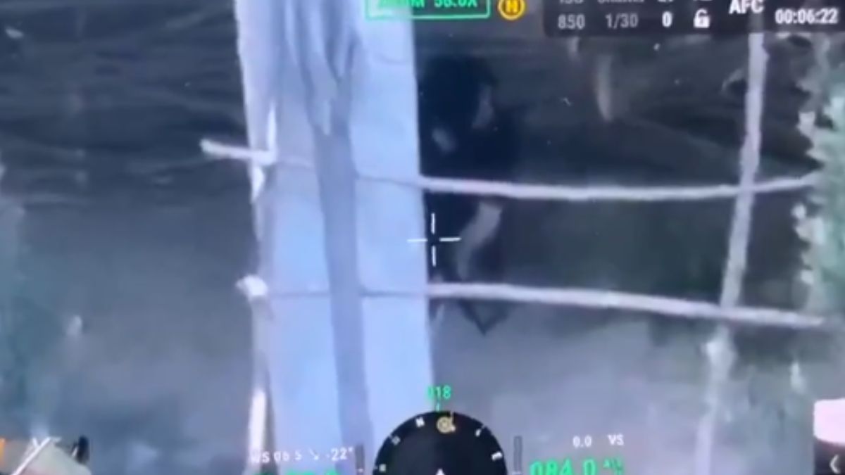 Watch: Drone Video Captures Jaish-e-Mohammad Terrorist Hiding Just Before Being Killed In Encounter In Pulwama Watch: Drone Video Captures Jaish-e-Mohammad Terrorist Hiding Just Before Being Killed In Encounter In Pulwama