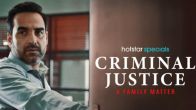 Criminal Justice Season 4 Review