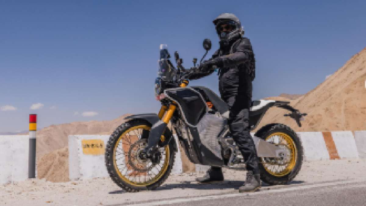 Himalayan New Himalayan New