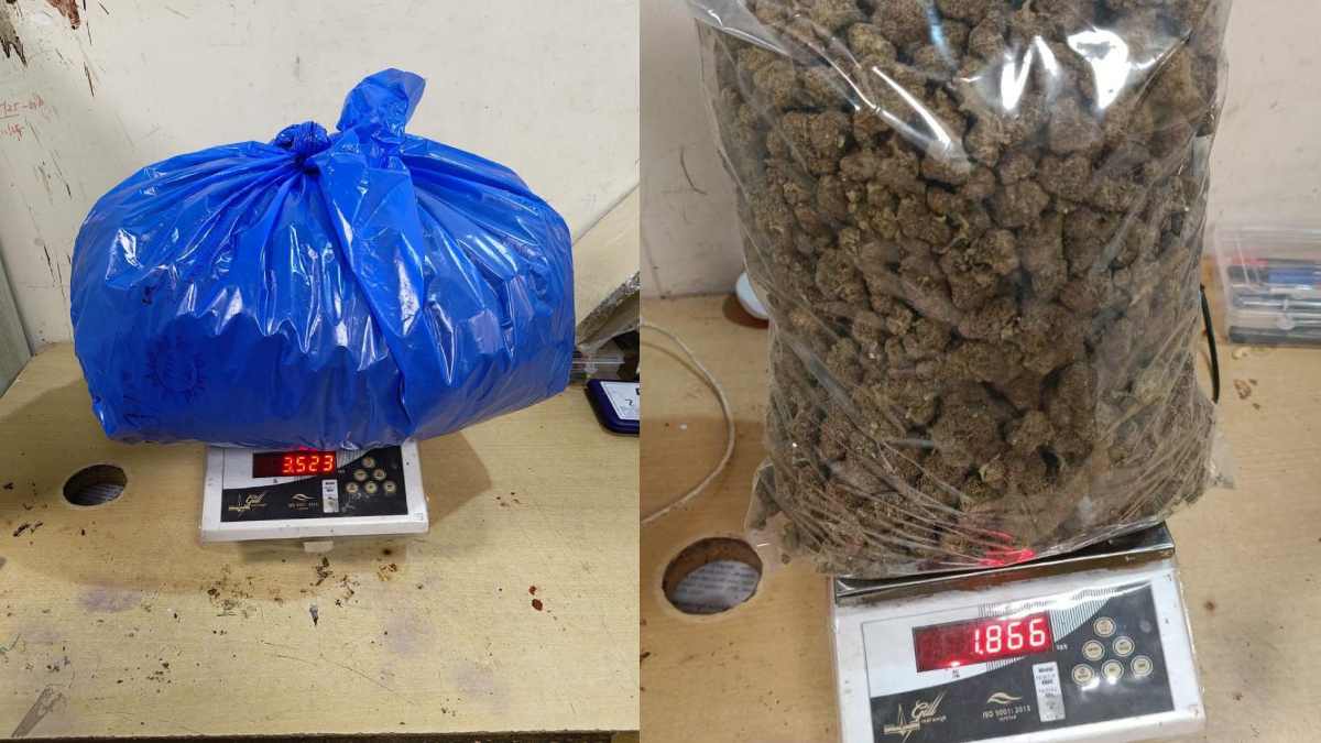 Hydroponic Marijuana