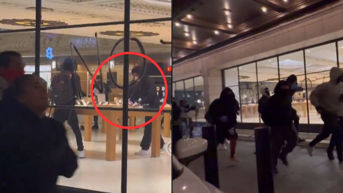 Viral Video: Masked Men Loot Apple Store In Los Angeles Amid Immigration Protests