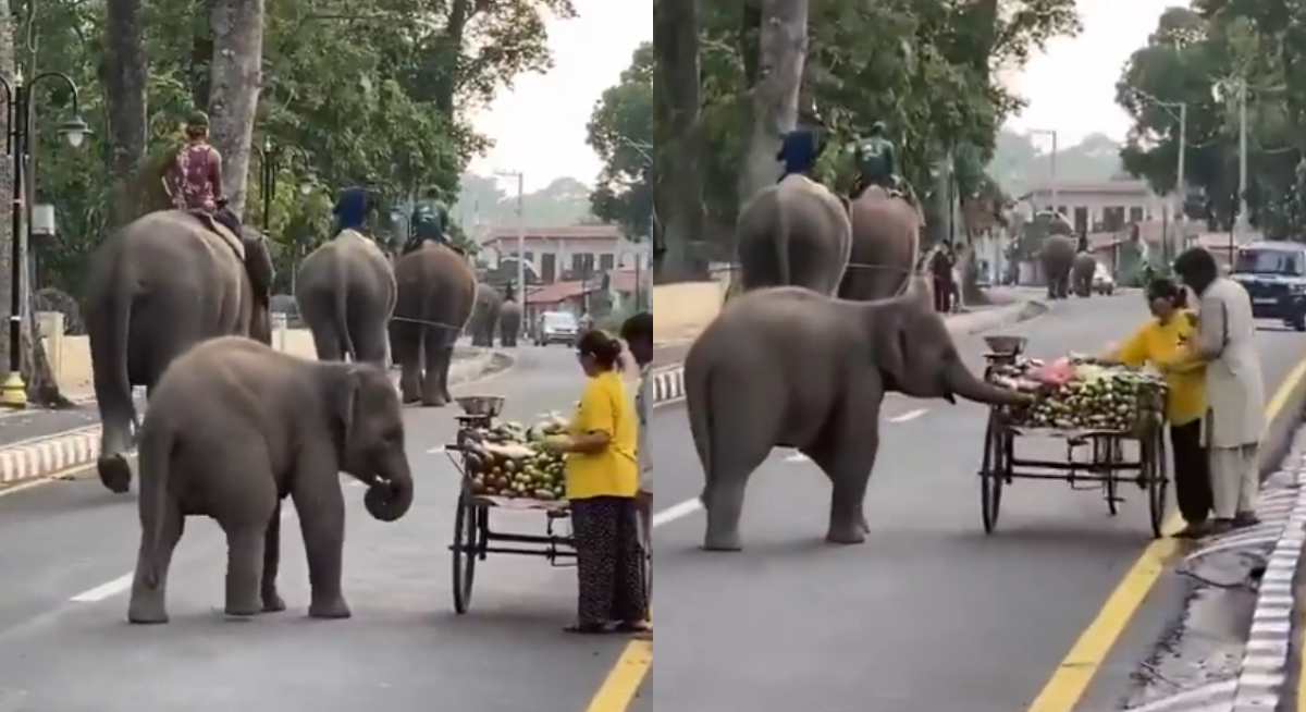 Viral Video Viral Video