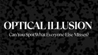 Optical Illusion: Can You Spot What Everyone Else Misses? This Image Will Leave You Confused