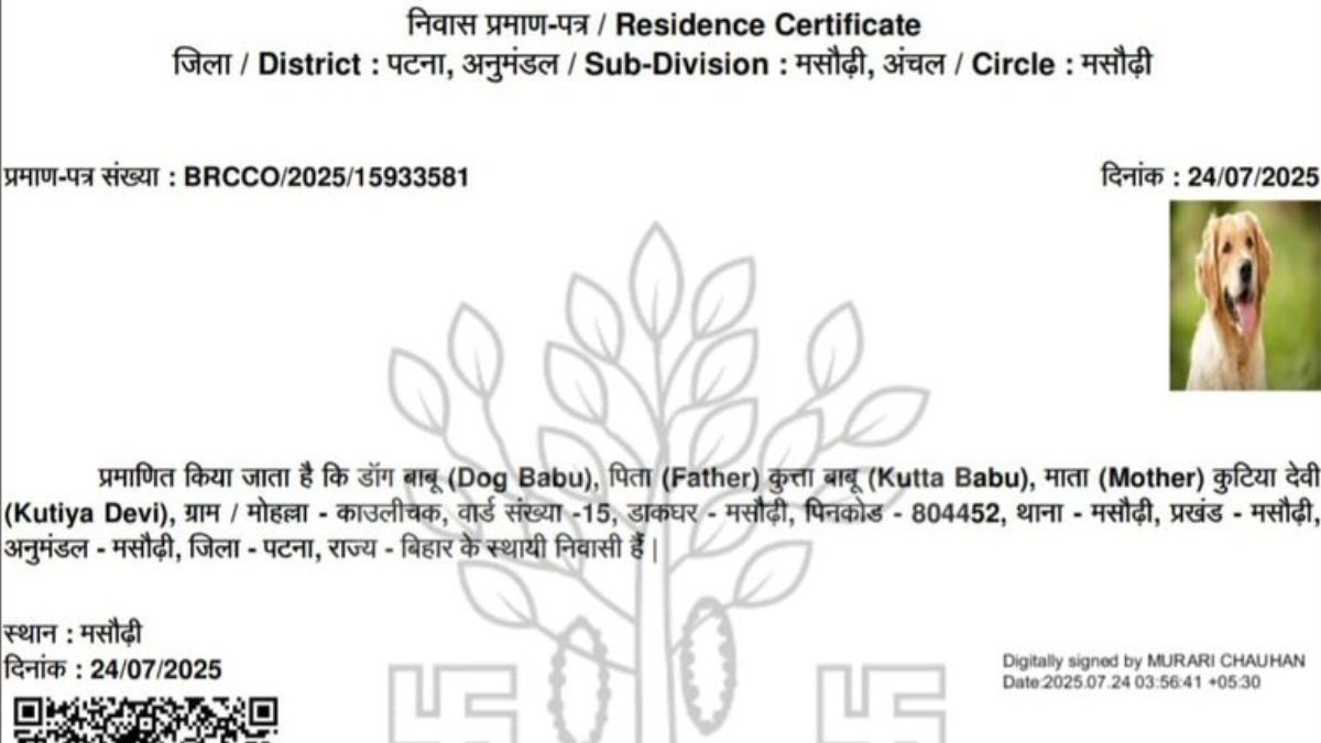 Bihar SIR: Dog Issued Residence Certificate