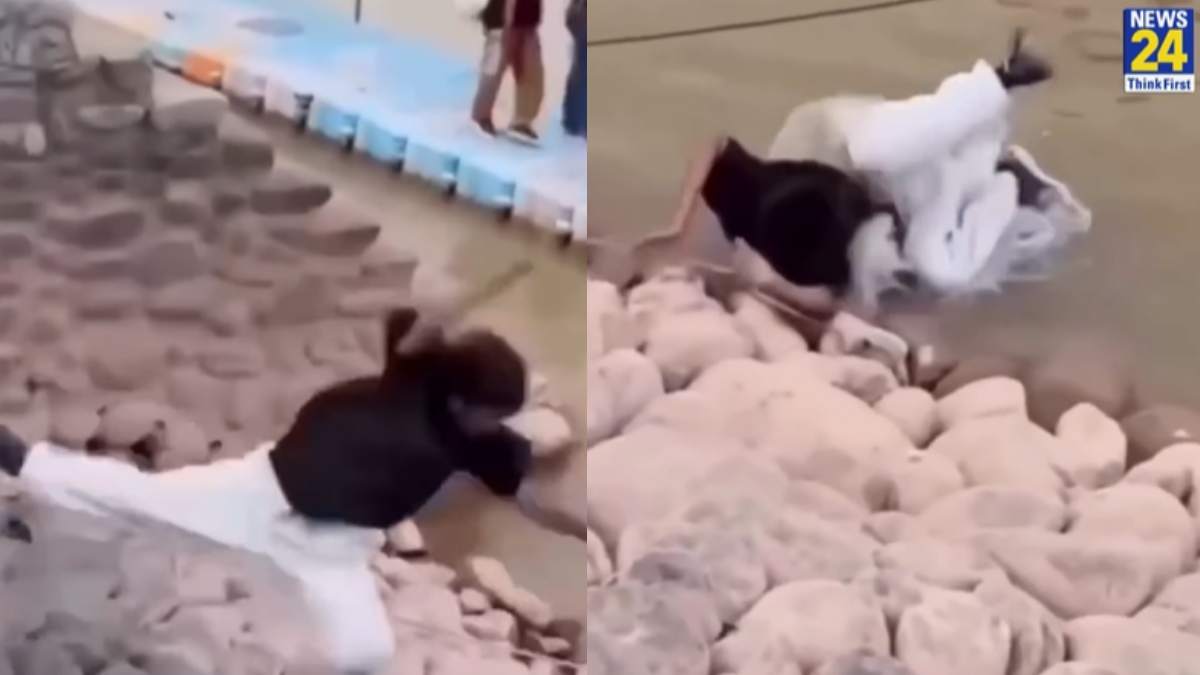 Viral Video Viral Video