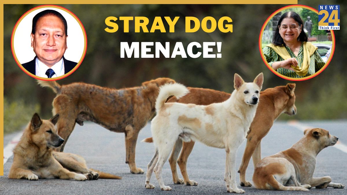 How This Ex-Hyderabad Municipal Commissioner Solved Stray Dog Menace; Threw The Municipal Act To Silence Animal Lovers and Maneka Gandhi