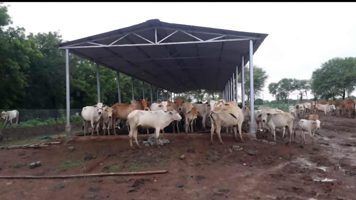 Gaudham Yojana Gaudham Yojana