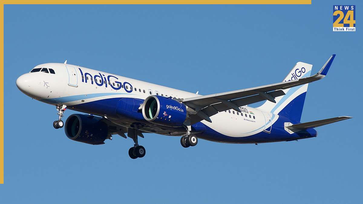 Indigo Tail Hits Runway Indigo Tail Hits Runway