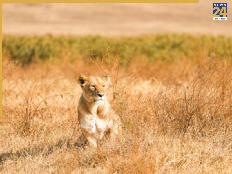 Sunset Lovers Rejoice: The World’s Most Mesmerizing Sunset Views That Will Steal Your Breath-1-2-3-4-5