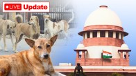 Stray Dogs SC Hearing Live Updates