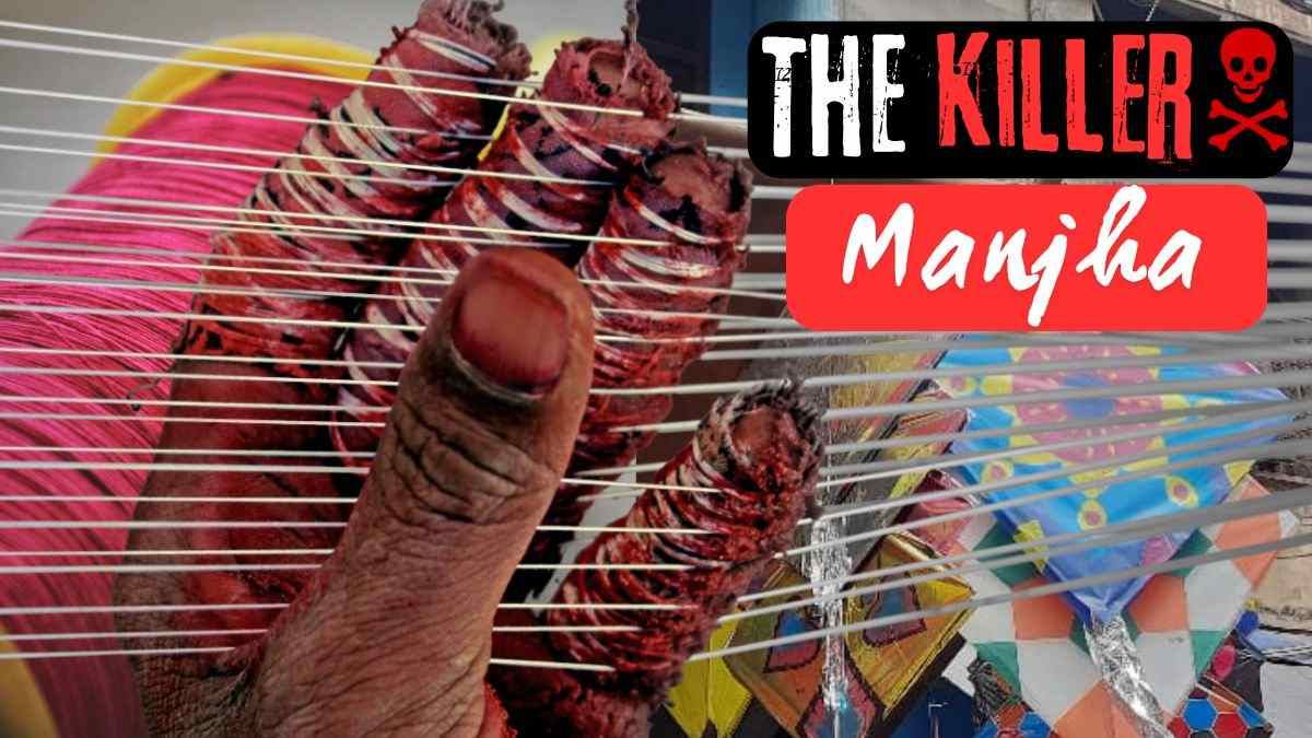 The Killer Manjha The Killer Manjha