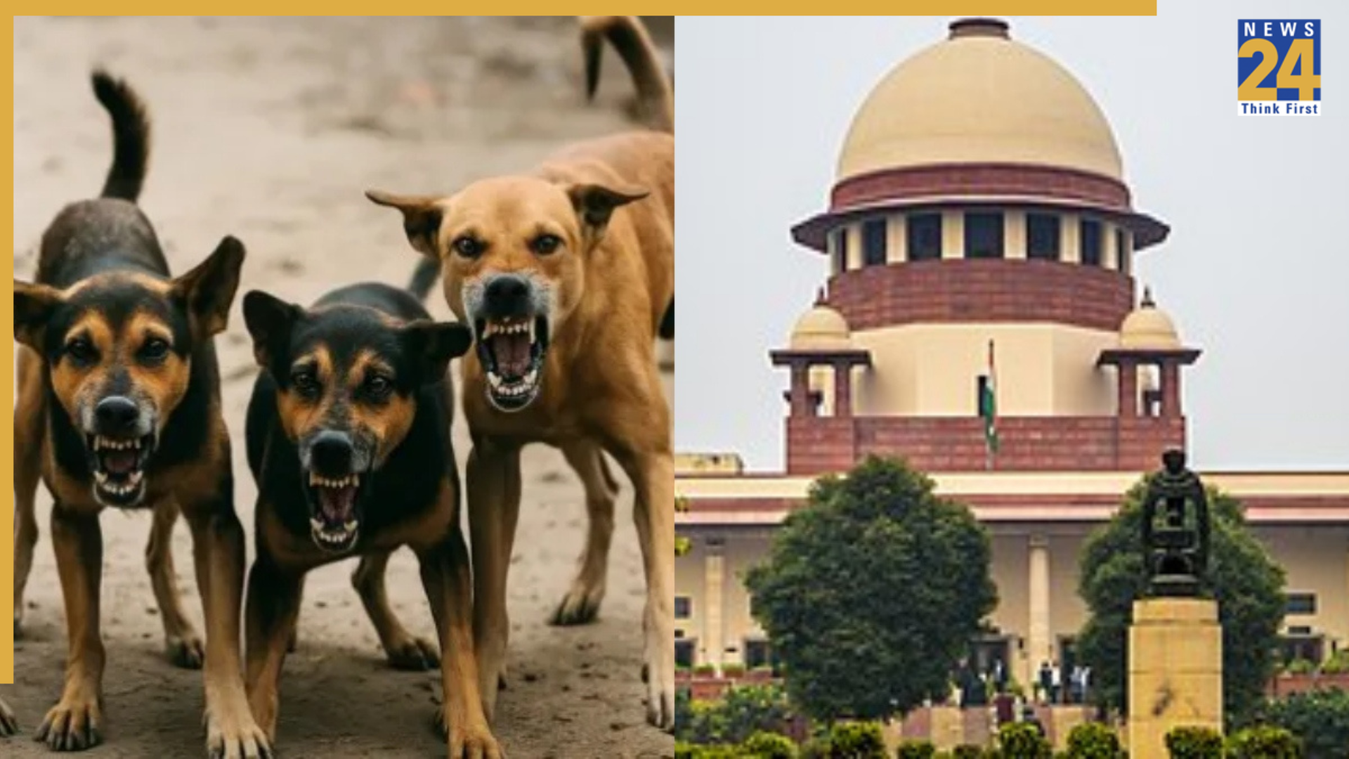SC Stray Dogs Verdict Live: Supreme Court To Deliver Order On Pleas Against Capturing, Relocating To Shelters Shortly