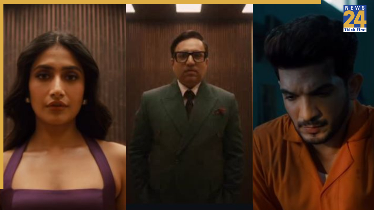 Rise And Fall: From Dhanashree Verma To Arjun Bijlani Meet All 15 Contestants Of Ashneer Grover’s New Reality Show