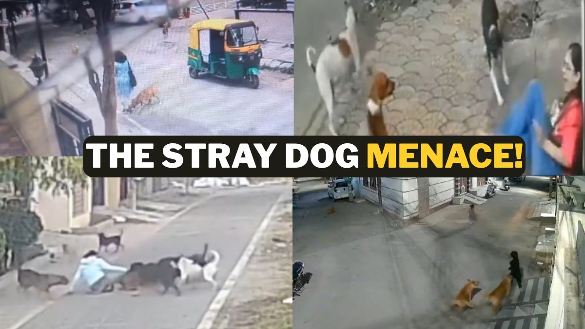 WhatsApp Image 2025-08-10 at 19.01.44