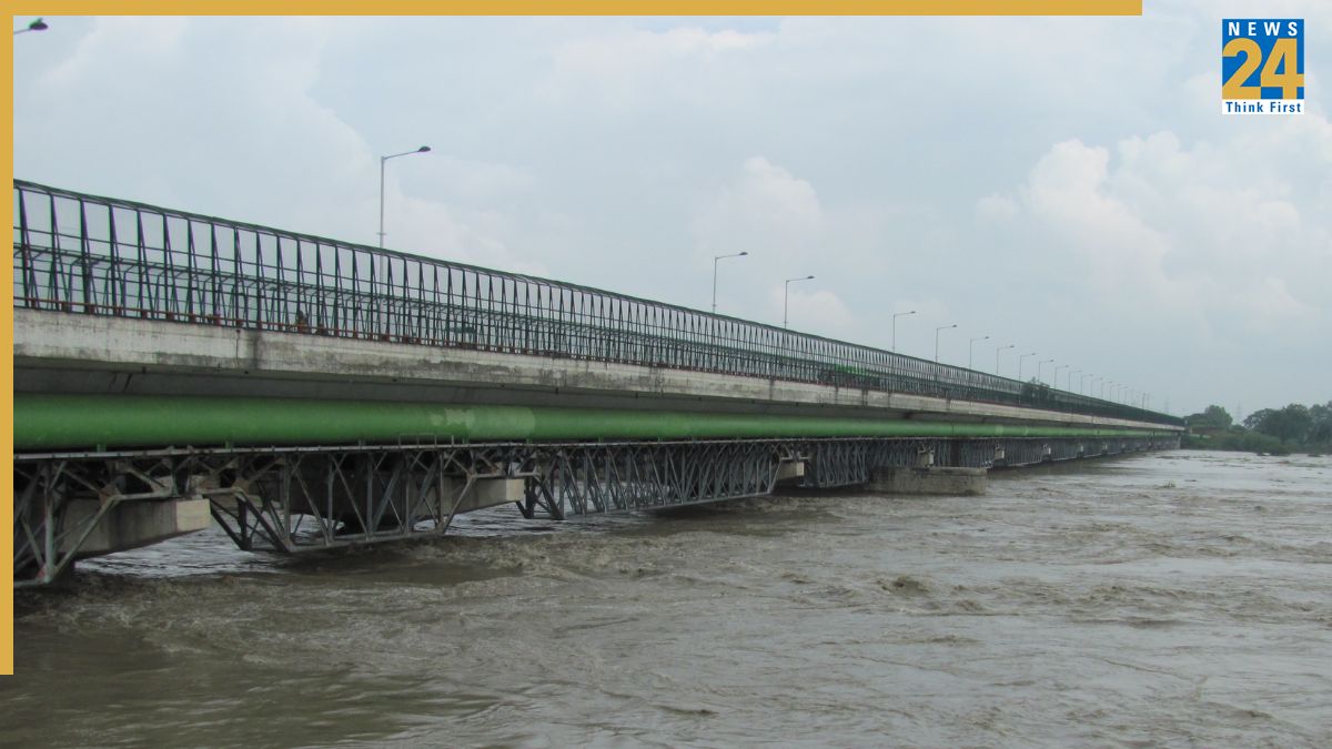 21-Year-Old Jumps Off Yamuna Bridge During Video Call With Sister; Rescue Op Underway