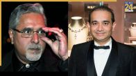 Nirav Modi, Vijay Mallya Extradition Soon? Why UK Team Reached India to Review Tihar Jail Conditions