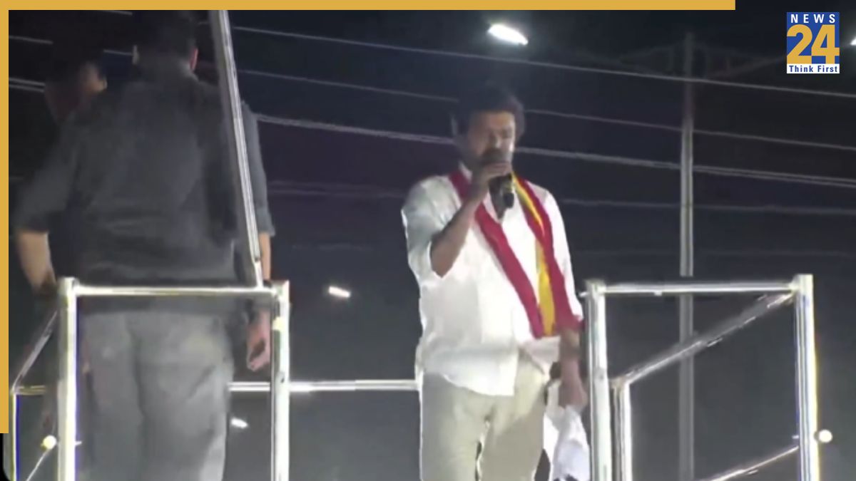 Tamil Nadu Stampede: Video surfaces showing slipper thrown at actor Vijay amid chaos