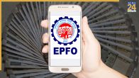 EPFO Passbook Lite: Check your complete PF details in one click - Details inside