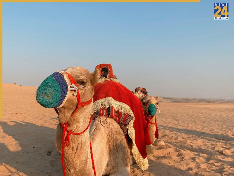 White Runn Of Kutch Discover The Untouched Beauty Of The White Rann Of Kutch — Here’s Why It Should Top Your Bucket List-1-2-3-4-5-6