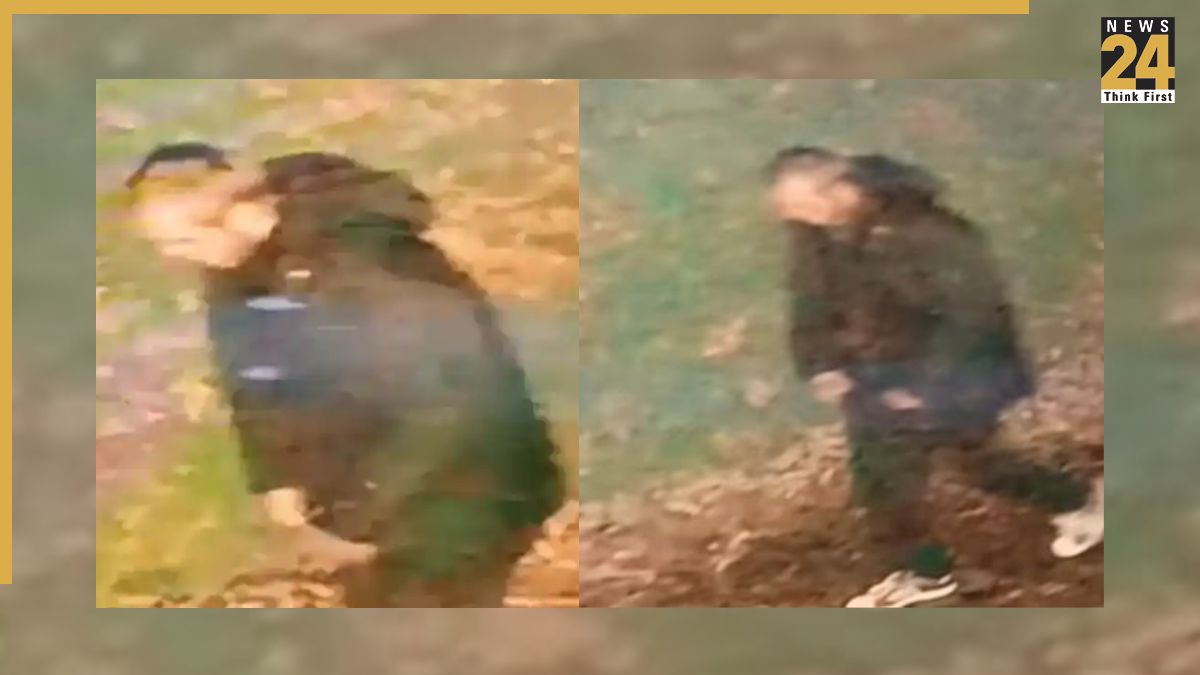 20-Year-Old Indian-Origin Woman Raped in Brutal Racial Attack Near London; Police Release Accused Photo – What We Know So Far