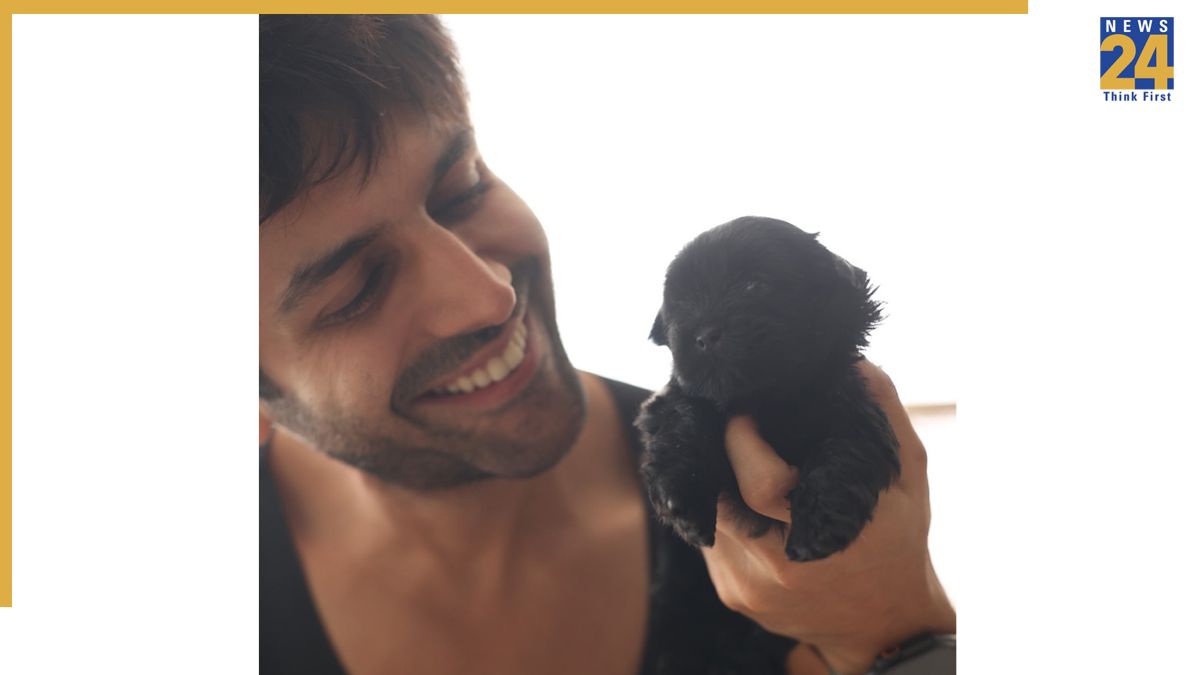 Kartik Aaryan Kartik Aaryan