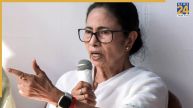 Mamata Banerjee