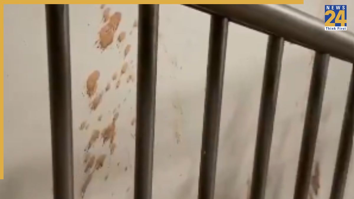 Video of Woman Smoking Inside Passenger Train Goes Viral (8)