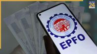PF balance check - steps to access your account on EPFO portal, DigiLocker and SMS