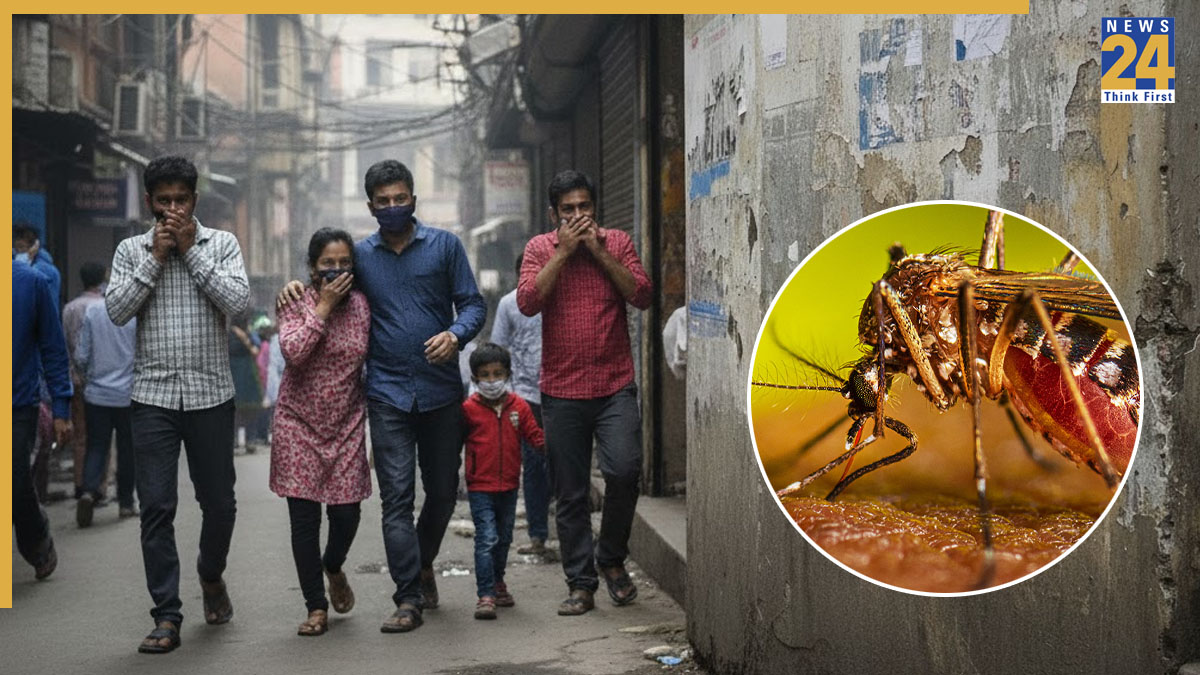 Delhi is still being affected by dengue. The MCD has made the weekly report available. 1136 cases have been reported so far, and multiple deaths were recorded.