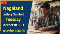 Nagaland Lottery Sambad Result Tuesday Declared- Check Winners