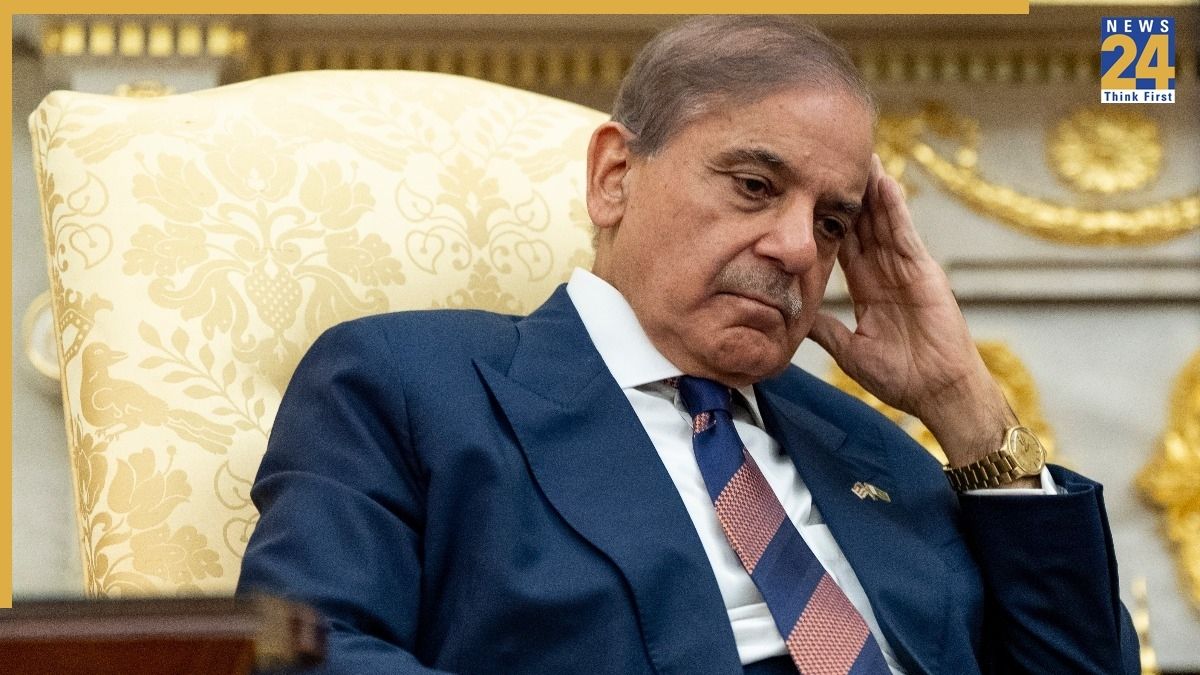 Image Credit - X-Platform Image Credit - X-Platform