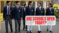 School Holiday Today, November 14: Are Schools Open or Closed? Schools to Remain Closed in THESE States due to Bihar Elections and Severe AQI - Classes online..