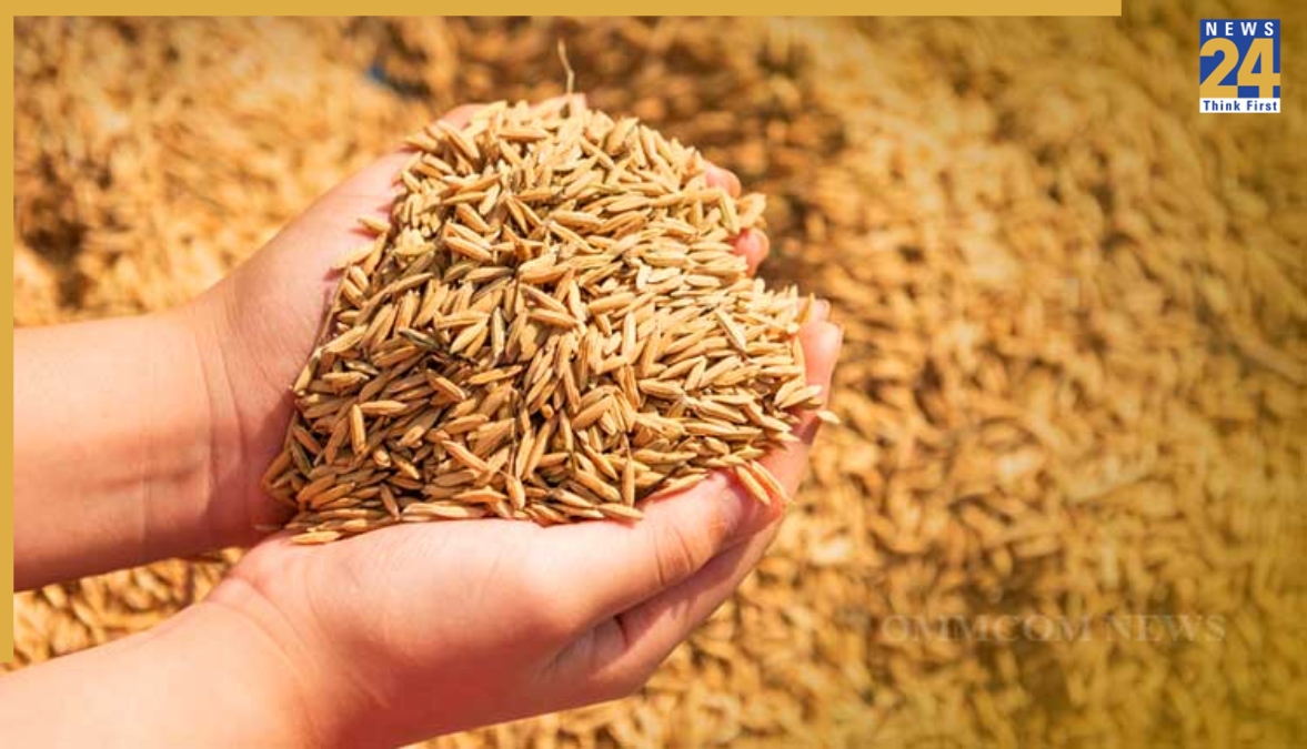 3.82 lakh farmers registered for the current procurement season.