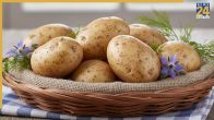World's most expensive potato is worth Rs 100000 per kg, it is found in..., price is so high due to...