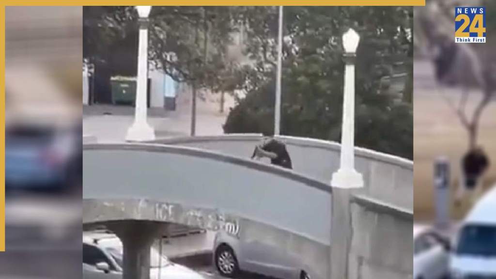 Bondi Beach attacker