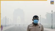 'In coming days, we’ll share...': China extends help as Delhi battles toxic air, offers lessons