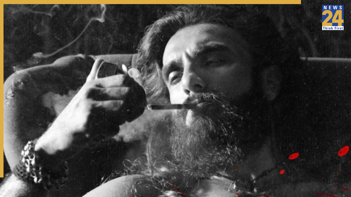 Dhurandhar box office collection (1)