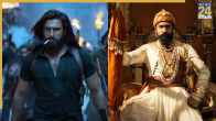 Dhurandhar or Vicky Kaushal's Chhava: Which film earned more money on Day 1, the answer will leave you surprised