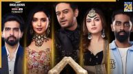 Bigg Boss 19 Finale